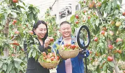 数字中国乘“数”破浪奔赴未来，地标马克担任“数字工匠”